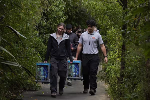 Carrying Autahi and Hopi to the Wetland Lawn. By Scott Langdale