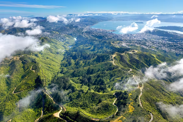 Aerial view of Sanctuary and Kaiwharawhara catchment. Photo by Rob Suisted