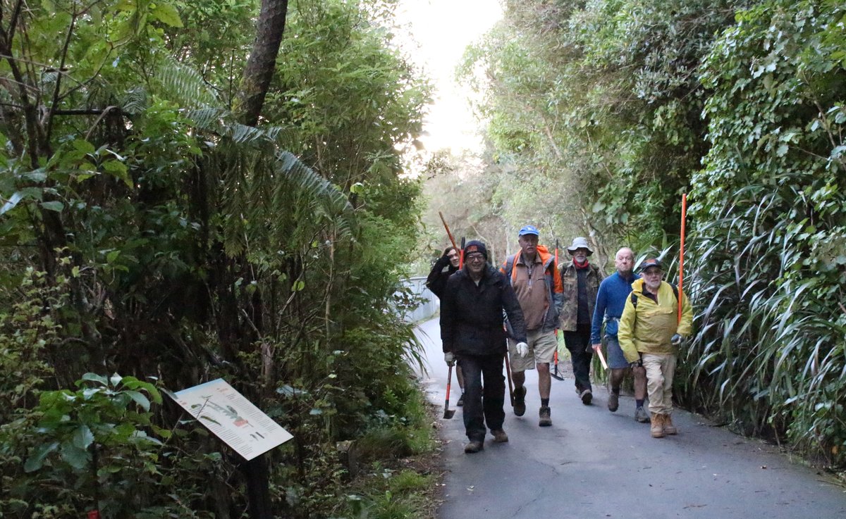 Zealandia ecosanctuary volunteers (Wellington)