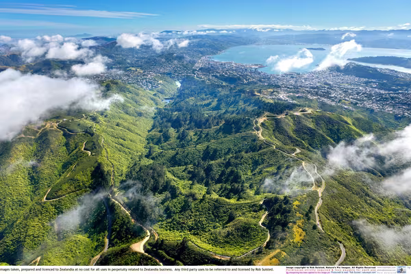 Zealandia aerial Rob Suisted